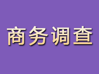 芷江商务调查